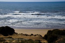 Image du Maroc Professionnelle de  Plage sauvage près du village Tamri sur la route Nationale  N1 (Essaouira - Agadir), le 14 Juillet 2003. (Photo / Abdeljalil Bounhar)

 